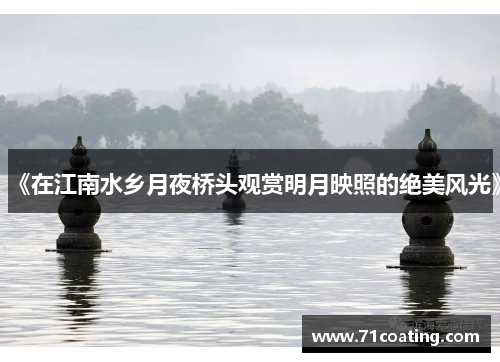 《在江南水乡月夜桥头观赏明月映照的绝美风光》