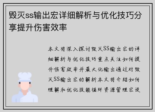 毁灭ss输出宏详细解析与优化技巧分享提升伤害效率